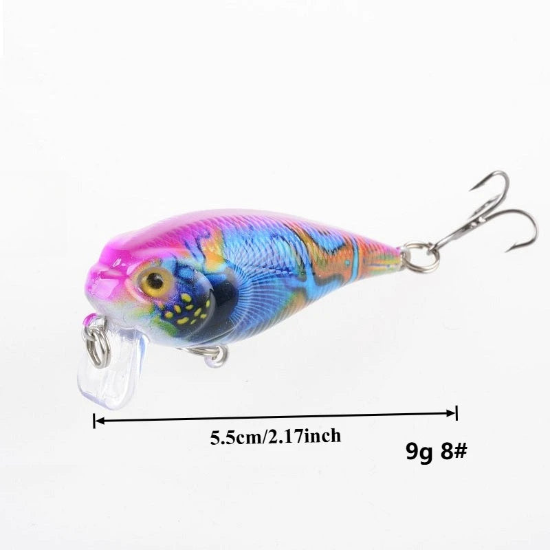 Leurres de pêche multicolores – 5,5 cm / 9g – Popper flottant